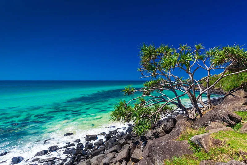 burleigh heads
